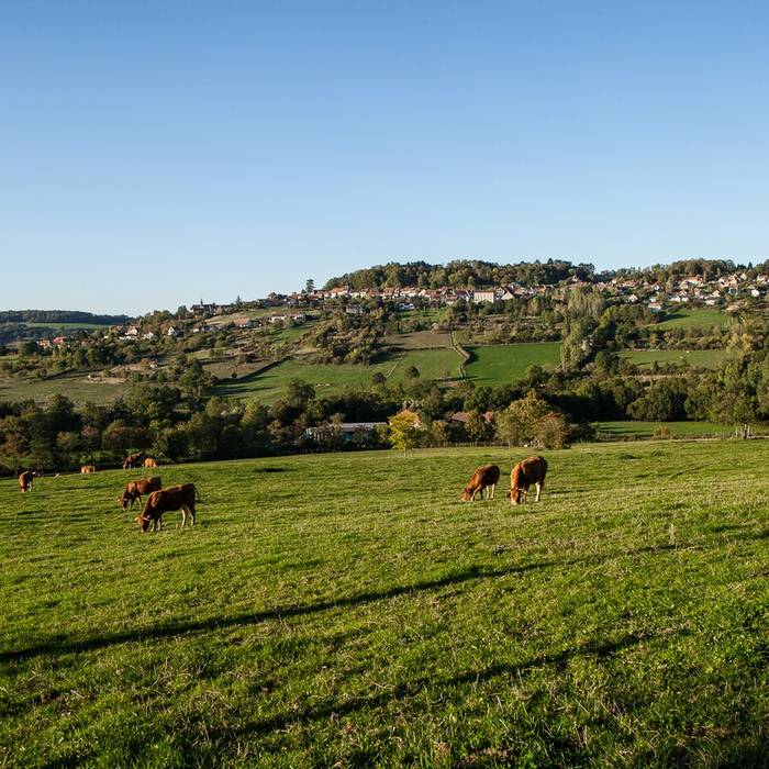 Photo de Pont des Romains de Venarey-Les Laumes